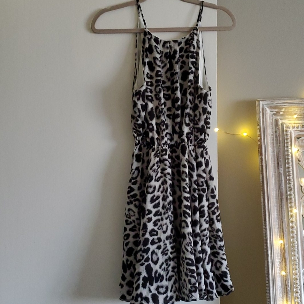 Francescas leopard Print dress